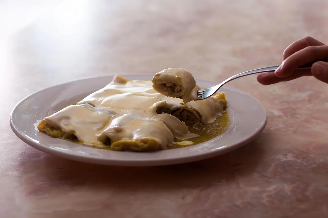Enchiladas de Pollo con Salsa de Chile Rojo